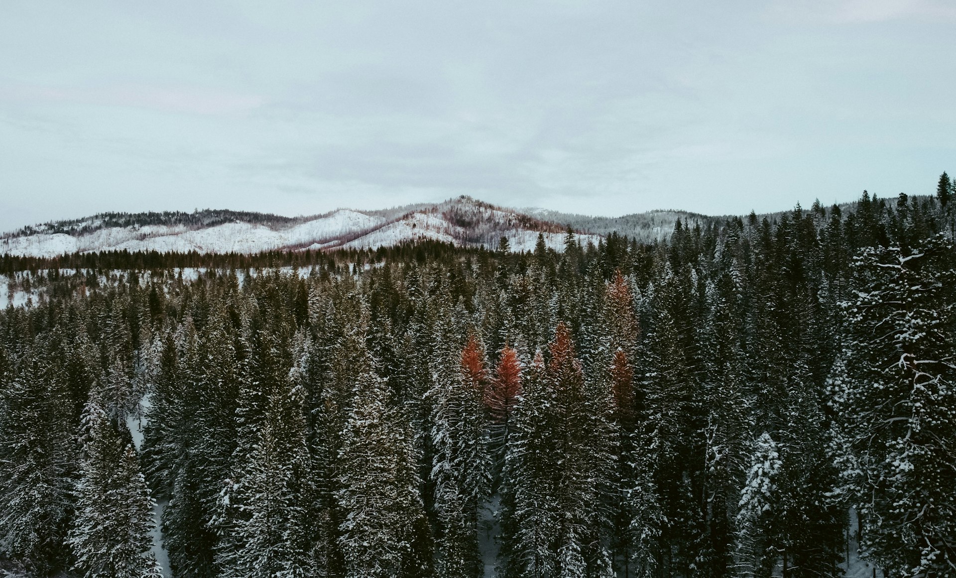 Unlocking the Smart Traveler's Advantage: The Benefits and How-To of Off-Peak Season Journeys