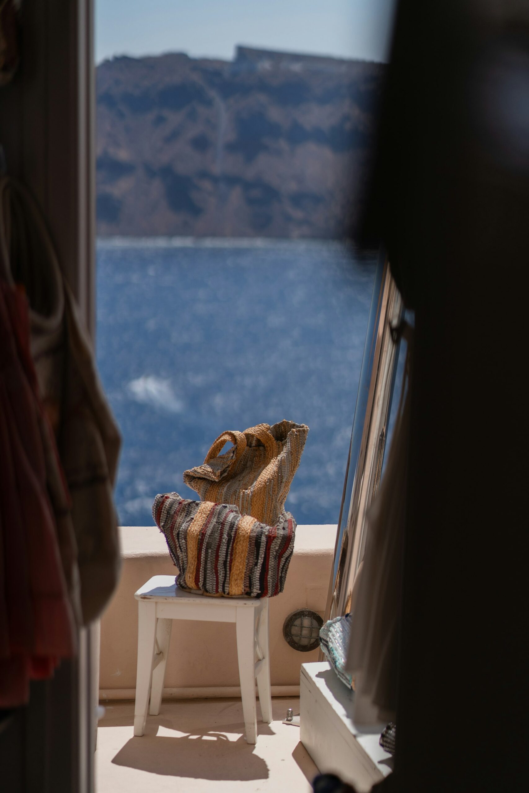 The Essential Guide to Taking Pets on Cruise Ships: Rules, Options, and How to Prepare