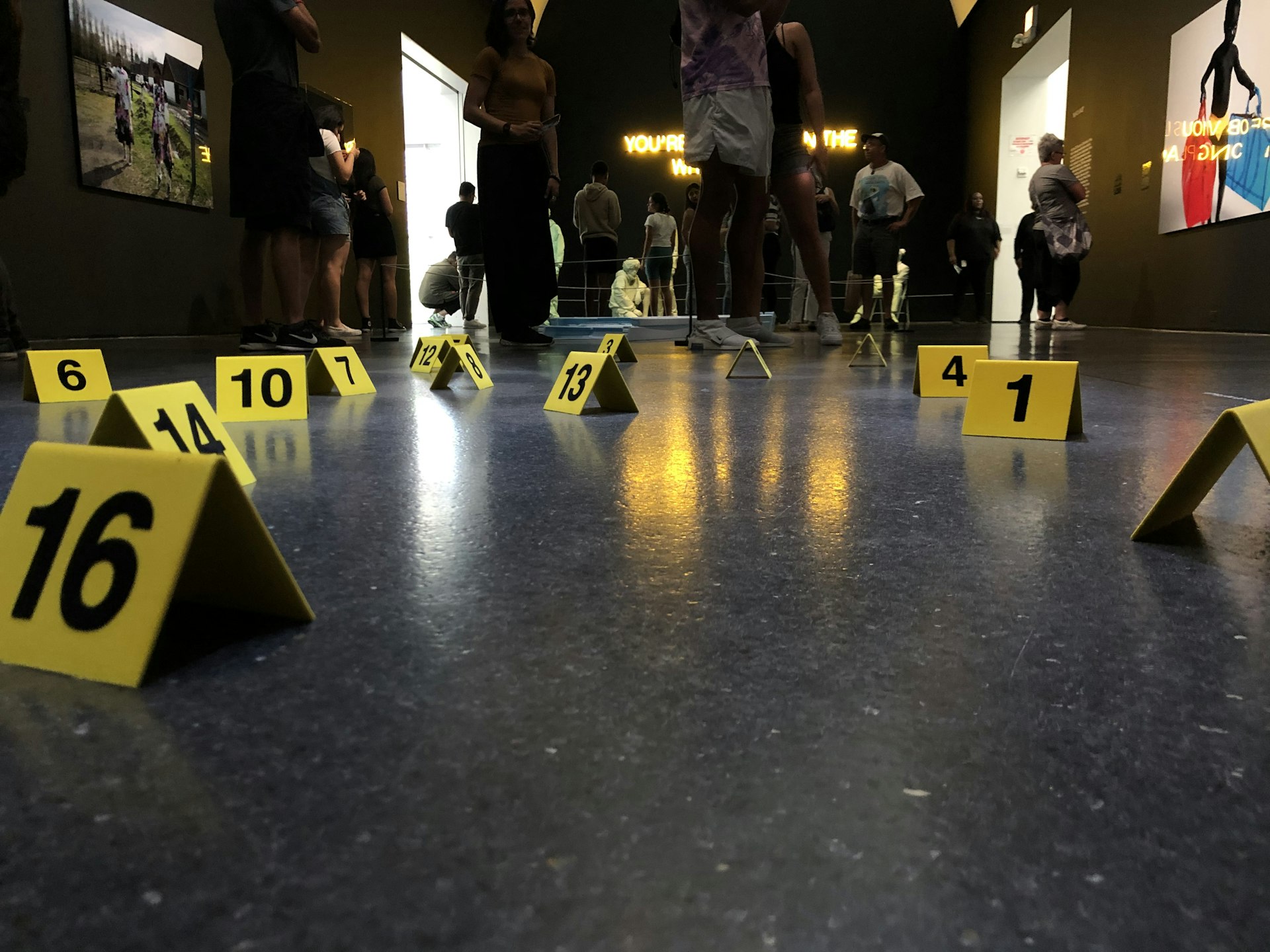 Understanding Ballistics: The Science Behind Forensic Firearm Investigation