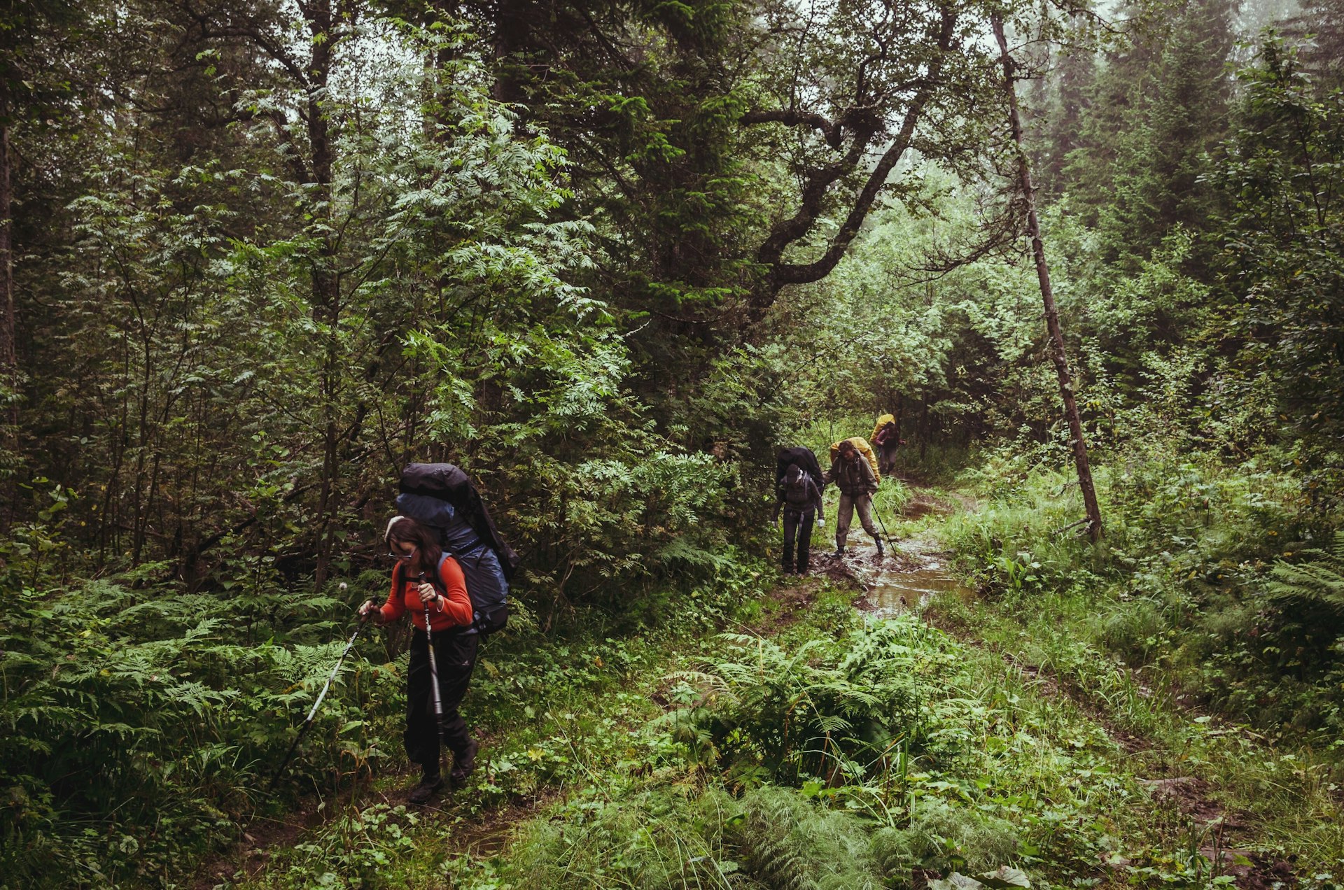 Sustainable Hiking and Trekking Routes: Explore Eco-Friendly Paths Worldwide