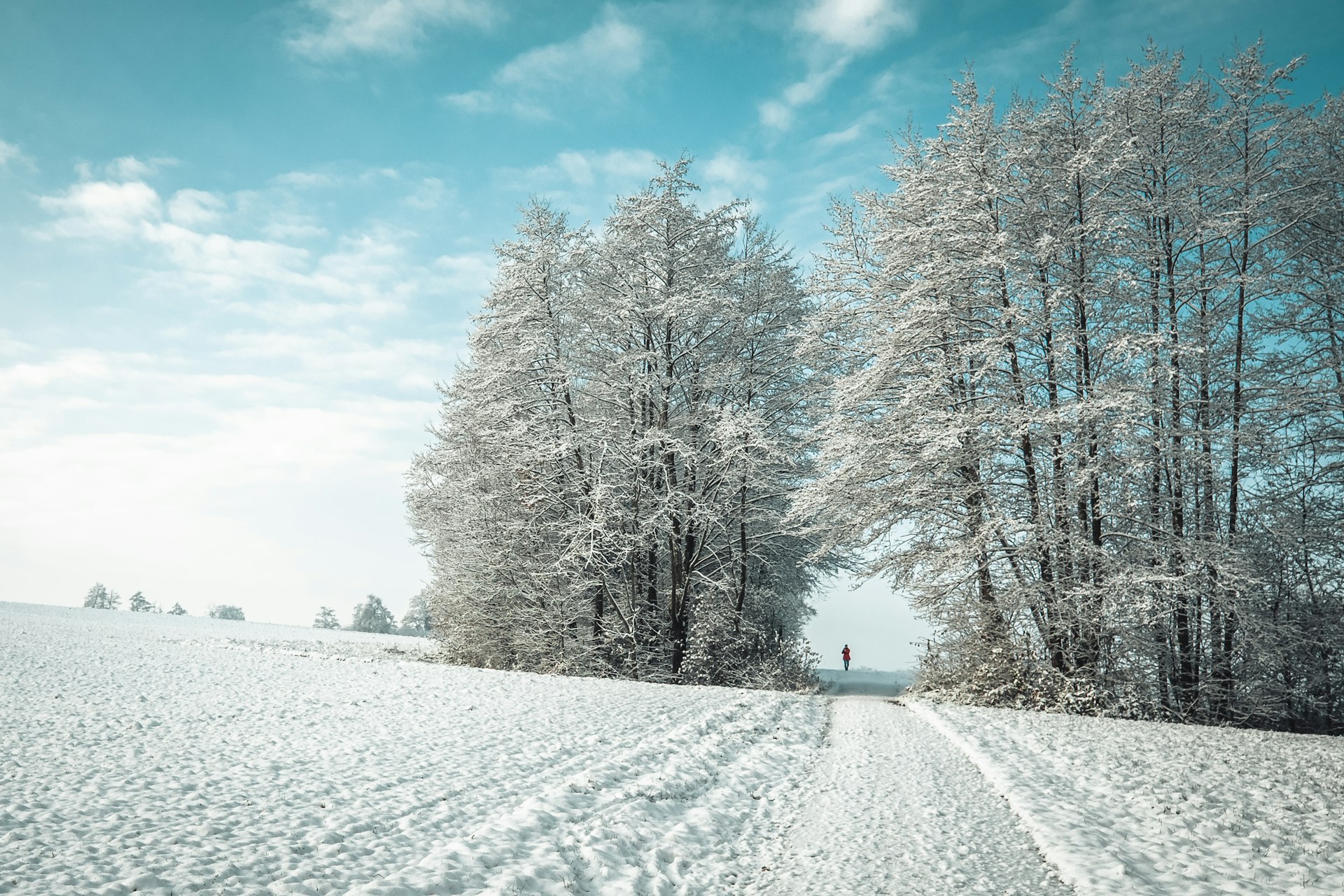 Master Seasonal Travel Planning with Climate Awareness: Your 2026 Guide to Smarter Trips
